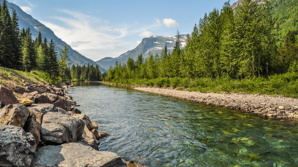Brady Rice Flathead Montana